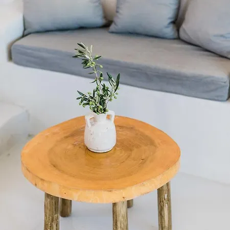 Thea Collection ヴィラ Mykonos Town